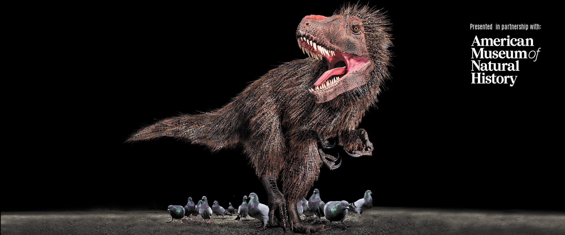 Dinosaurs Among Us Image